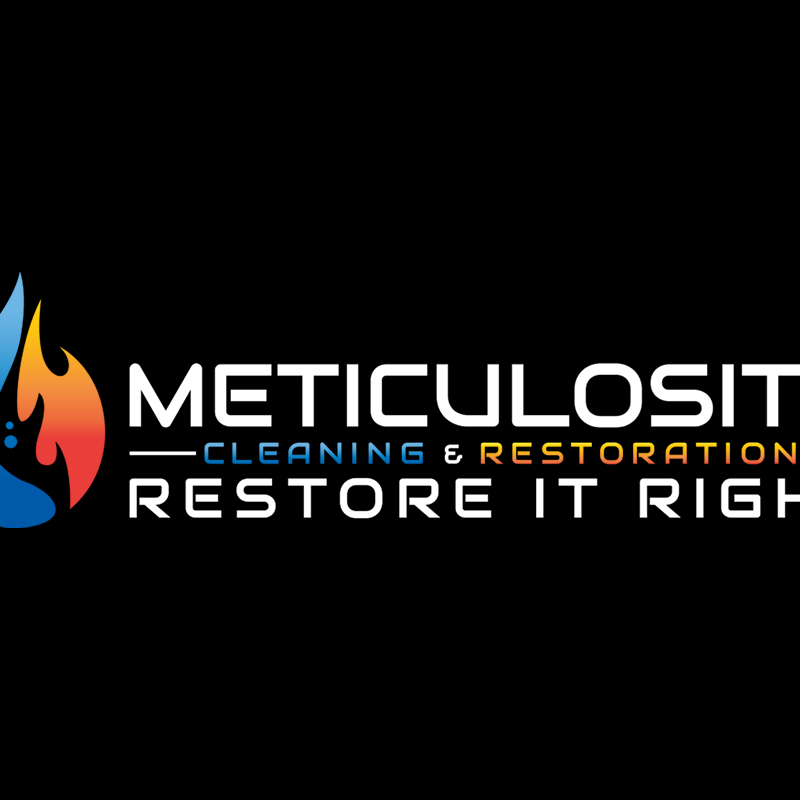MeticulocityCleaning