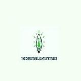 Thechristmaslightsinstaller