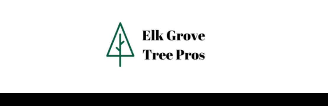 elkgrovetreeservice