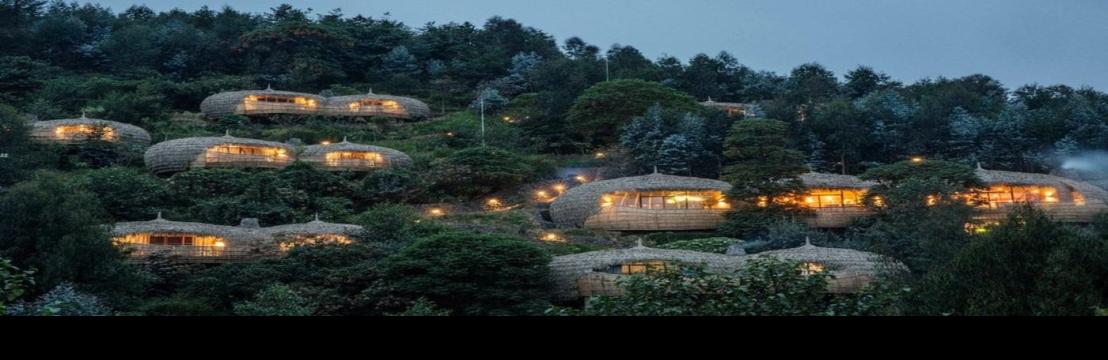 Beyondtheplainssafaris