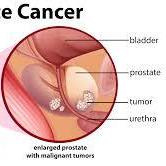 uroflowprostatehealth